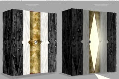 Projects of cognitostructural objects